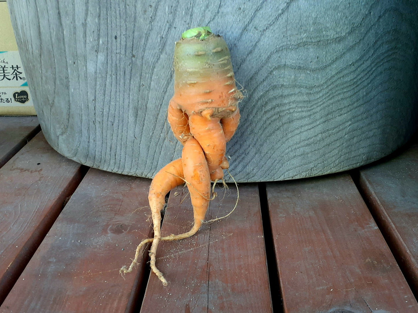 【Still good!】個性的な一枚!/待ち人ニンジンTシャツ -Waiting Carrot Tee/cotton 100%/size:S-XXL