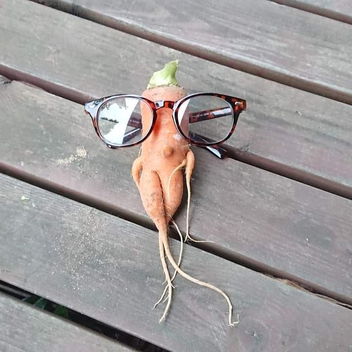 【Still good!】オシャレなギフトにぴったり!/エッグプラントTシャツ -Eggplant Glasses Tee/cotton 100%/size:S-XXL